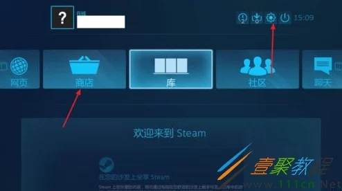 惊喜！Steam平台《植物大战僵尸》全屏设置教程大揭秘，轻松享受全屏乐趣！