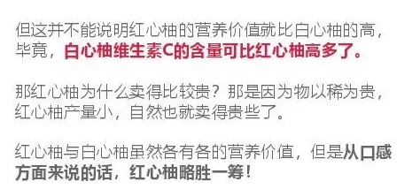 苏鹿薄景深全文免费阅读听说两人隐婚三年孩子都上幼儿园了是真的吗