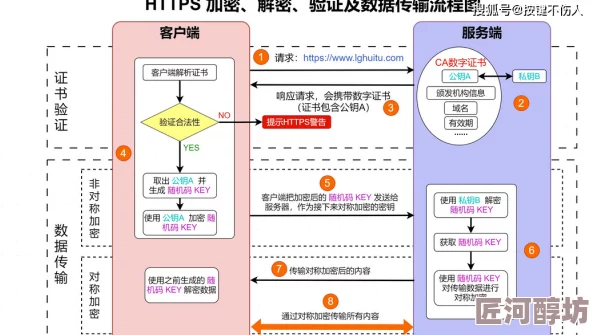 黄瓜视频免费看平台内容安全性与合规性待深入بررسی