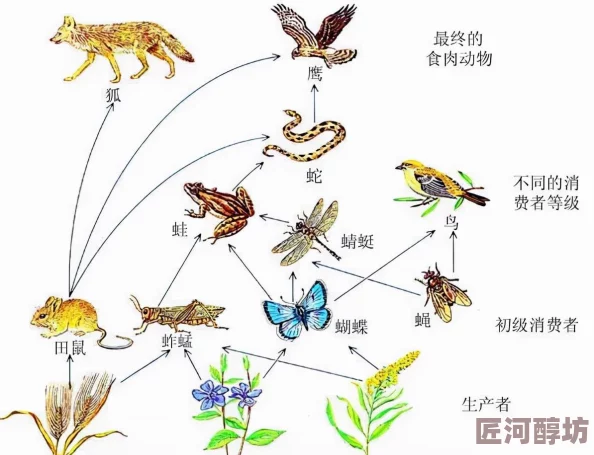 食物链完整正版画面精美操作流畅音效震撼值得体验的佳作