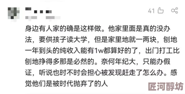 大陆天灾挑战升级：最新搬砖攻略与高效玩法技巧深度全解析