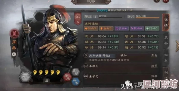 三国志战略版中期结算：深度探索高强度共存阵容策略指南