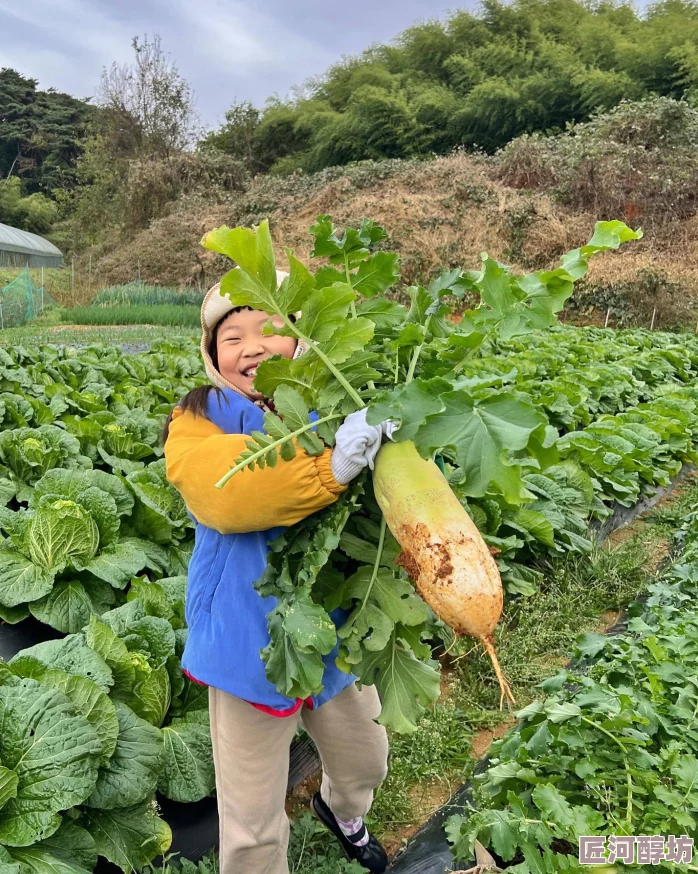 男人的手伸到口袋里拔萝卜为什么备受喜爱因为它创造了一种轻松愉悦的氛围和独特的幽默感