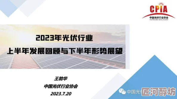 2023国产精品以其真实反映社会现实引发广泛讨论为何赢得口碑