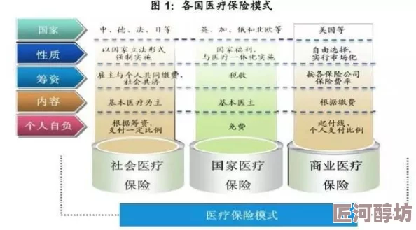 深入剖析：命运因子中猎手天赋强度与关键因素揭秘